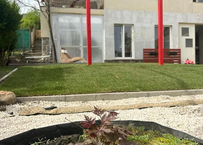Zen Apartament *